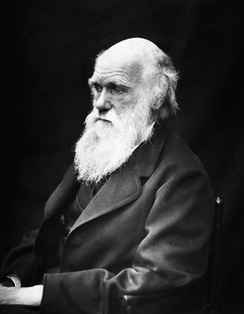 darwin ve nuh peygamber